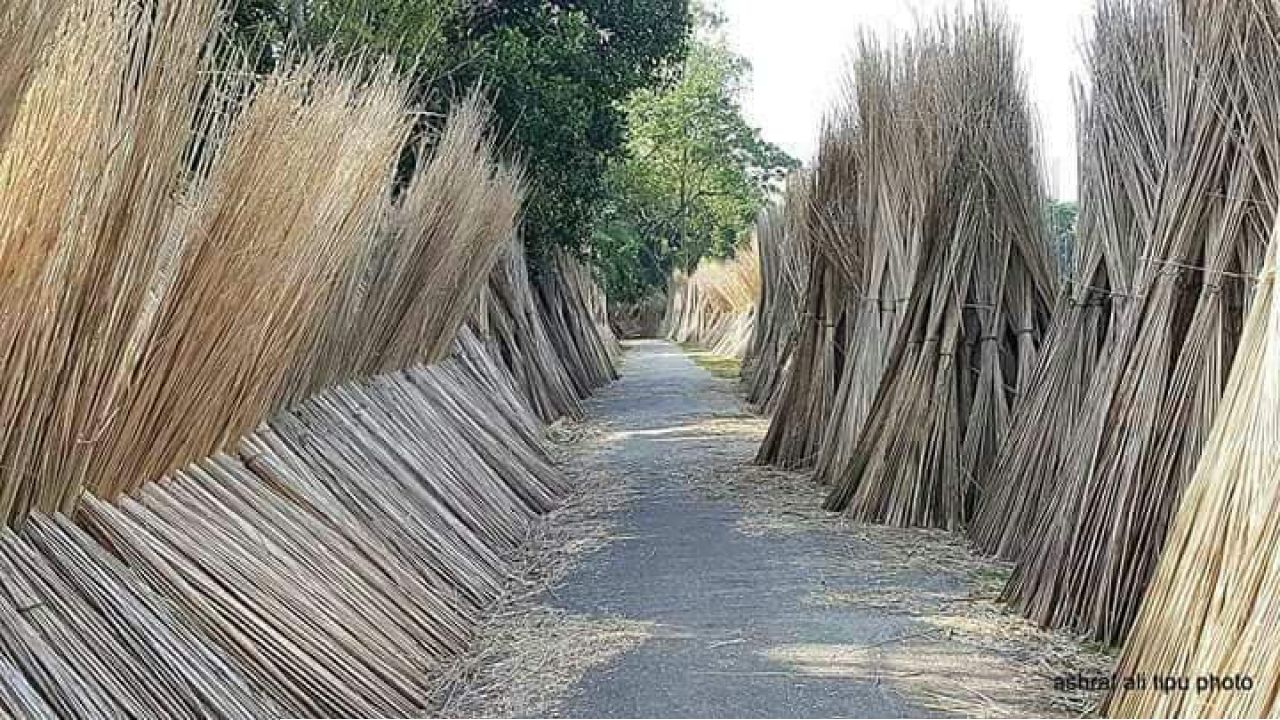 নৈঃশব্দ্যের ছবি 