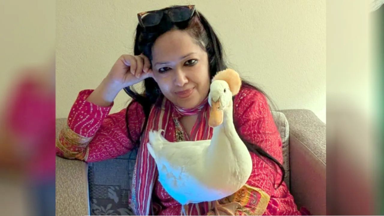 বিএনপিতে ফেরা নিয়ে শর্ত দিলেন রুমিন ফারহানা