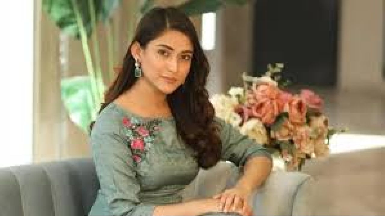 ‘আমাকে টার্গেট করা হচ্ছে’—মেহজাবীন