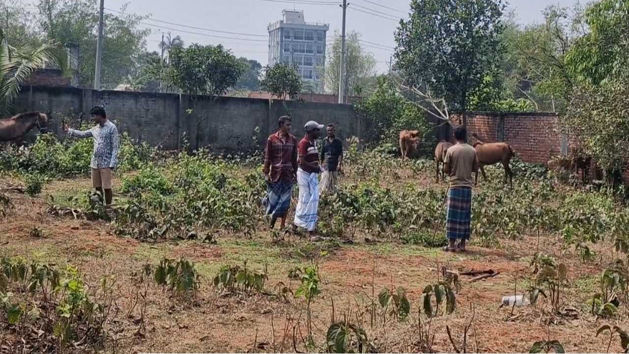 পূর্বাচলে গভীর রাতে ঘোড়া জবাইয়ের অভিযোগ