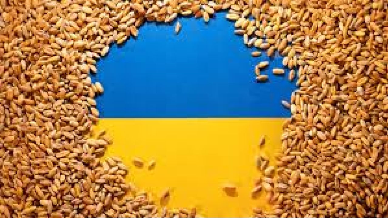 গম চুরির অভিযোগে ইসরায়েলি রাষ্ট্রদূতকে তলব ইউক্রেনের
