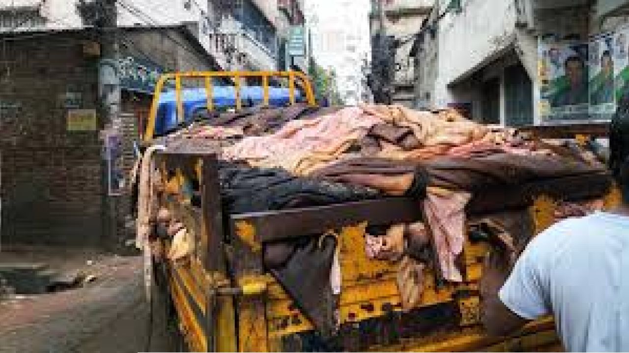 ঈদের পরও তিন দিন চলবে চামড়া সংগ্রহ কার্যক্রম