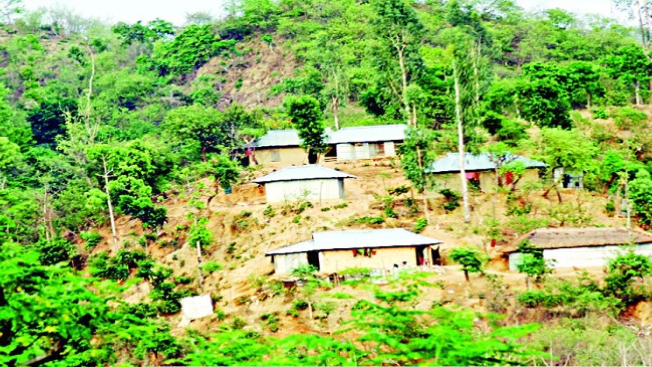 জঙ্গল সলিমপুর: পাহাড় কেটে গড়ে ওঠা ‘অপরাধ সাম্রাজ্য’