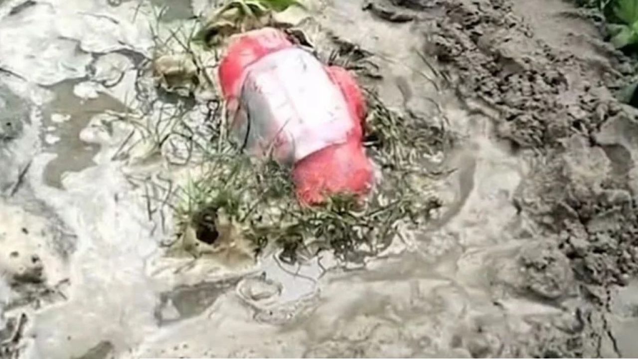 দর্শনায় ‘জয় বাংলা’ লেখা বোমাসদৃশ বস্তু উদ্ধার